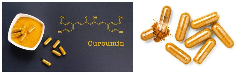 Fermented Turmeric Powder and its main components Fermented Turmeric Powder and its main components