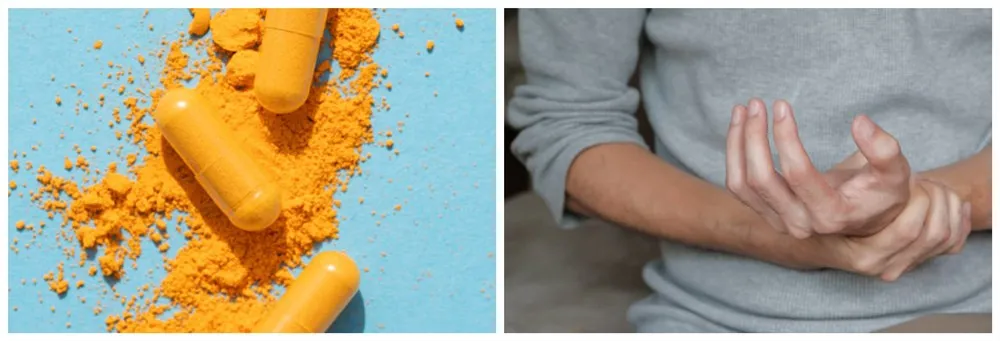 Benefits of Fermented Curcumin Powder Benefits of Fermented Curcumin Powder