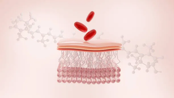 info-612-345 info-612-345